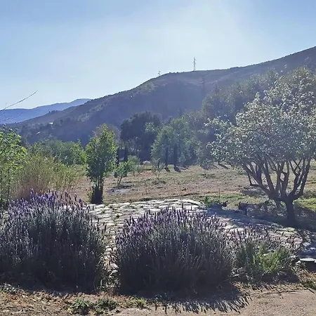 Σπίτι διακοπών Cortijo Aguacha Bayacas